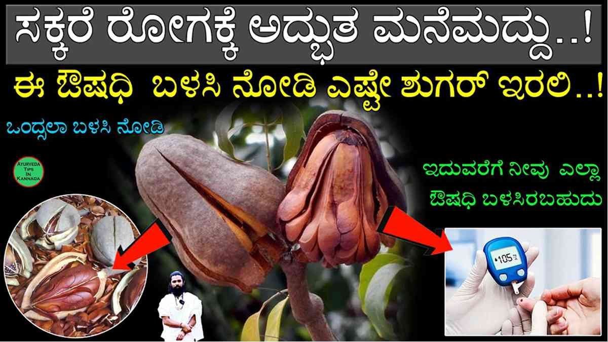 ಮಧುಮೇಹ / 10 Best Diabetes Control Tips