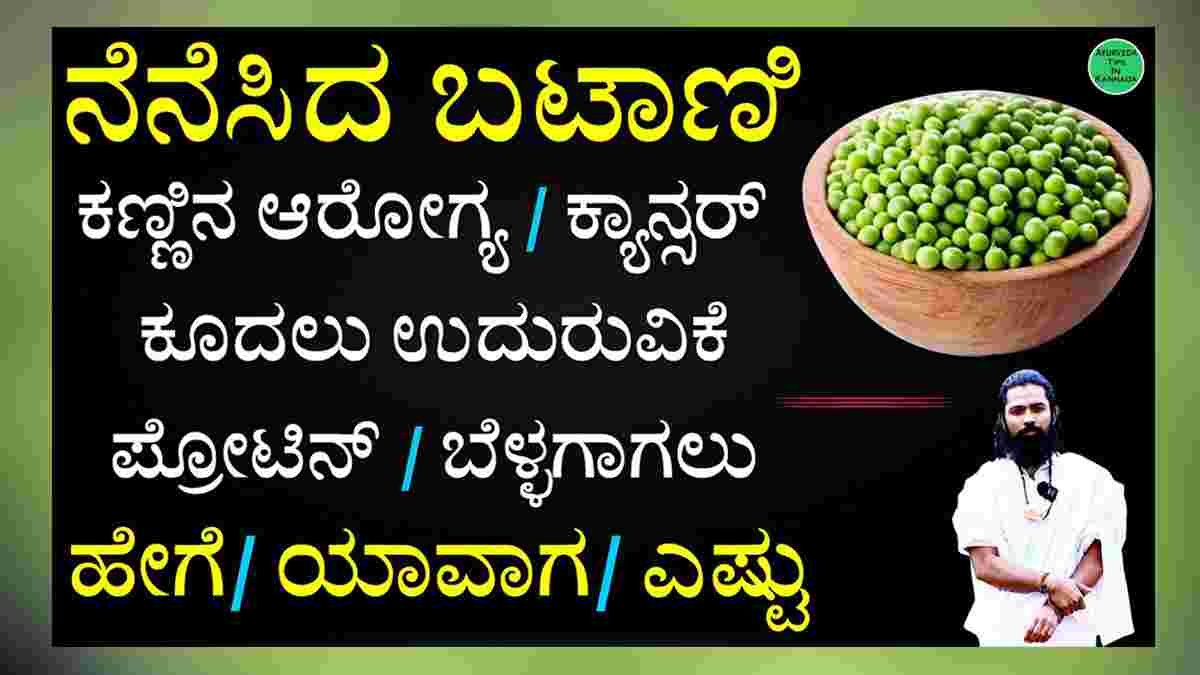 ಬಟಾಣಿಯಲ್ಲಿ ಏನೆಲ್ಲಾ ಇವೆ ಗೊತ್ತಾ? Green Peas