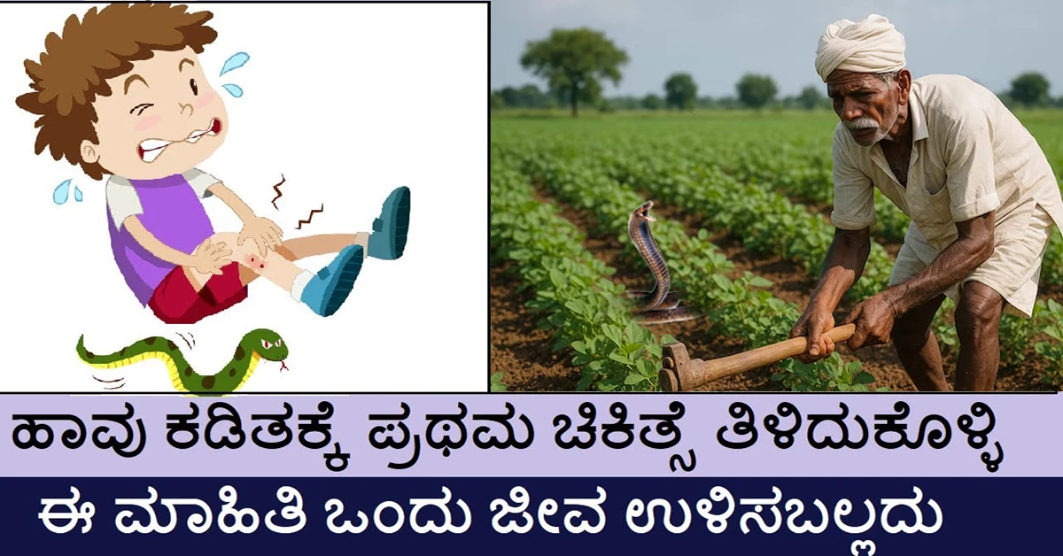 ಹಾವು ಕಚ್ಚಿದ್ರೆ ಏನ್ಮಾಡ್ಬೇಕು ? ಏನ್ ಮಾಡ್ಬಾರ್ದು ? ಉಪಯುಕ್ತ ಮಾಹಿತಿ..!