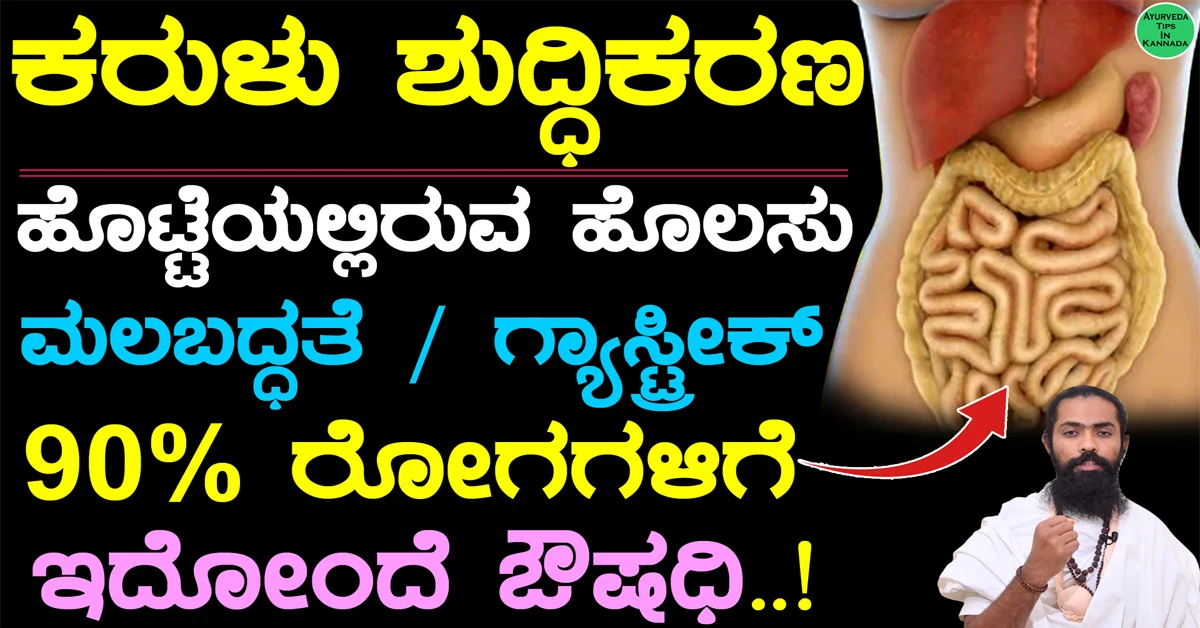 ಕರುಳು ಶುದ್ಧಿ ಆಗಲು 3 ವಿಧಾನ & ಮನೆಮದ್ದು..! 1 Karulu Shuddhi