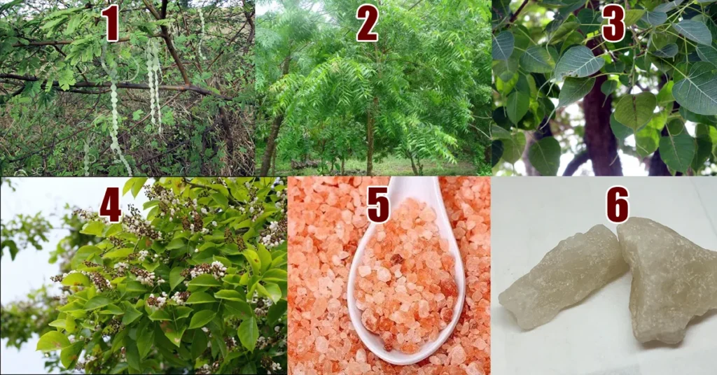 Hallu Novige Mane Maddu