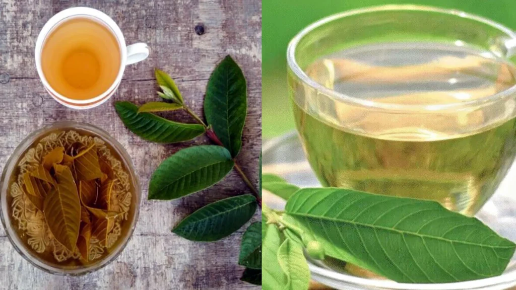 Guava Health Benefits Kannada