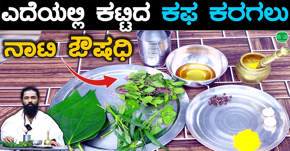 2 Min ದಲ್ಲಿ ಎದೆಯಲ್ಲಿ ಕಟ್ಟಿದ ಕಫ, ಕೆಮ್ಮು, ನೆಗಡಿ ಕಿತ್ತುಹಾಕಿ..!