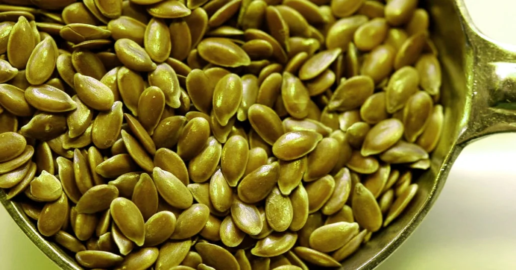 Flax Seeds