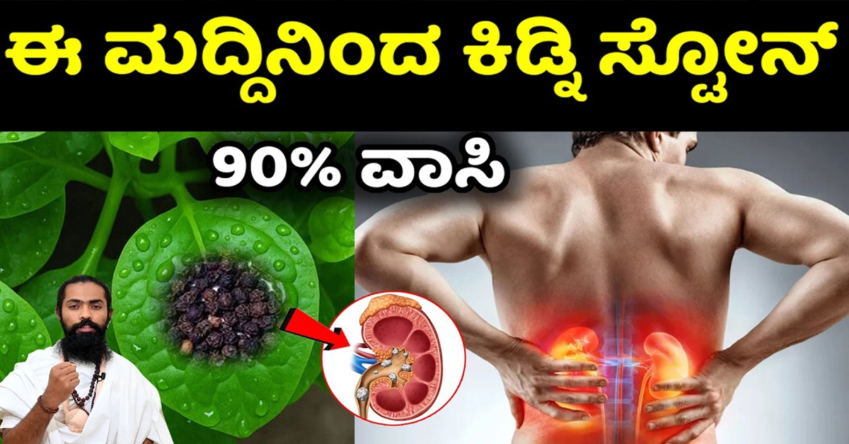 ಕಿಡ್ನಿ ಸ್ಟೋನ್ ಕರಗಲು 2 ಎಲೆ 2 ಕಾಳುಮೆಣಸು ಸಾಕು..!