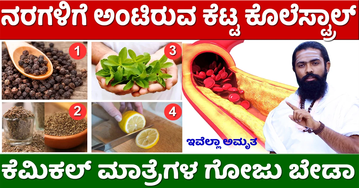 ರಕ್ತನಾಳದ ಕೆಟ್ಟ ಕೊಲೆಸ್ಟ್ರಾಲ್ ಕರಗಿಸಿ..! ದೇಹದ ಹೊಲಸು ಆಚೆ..! 1 cholesterol kannada