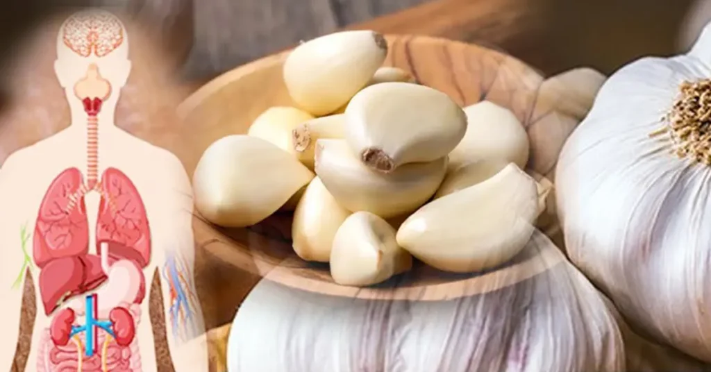 garlic benefits in kannada