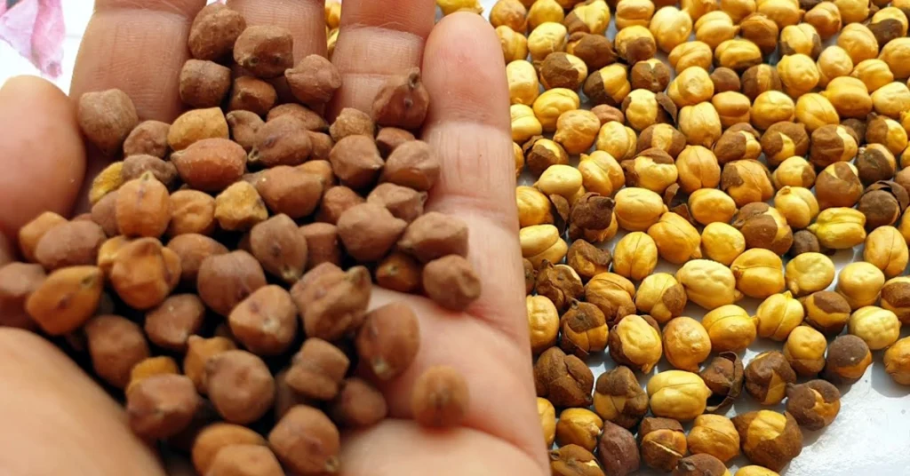 hurigadale in kannada