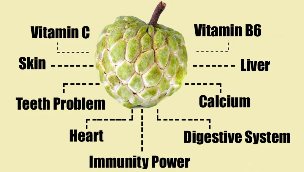 Sitaphal Uses in Kannada